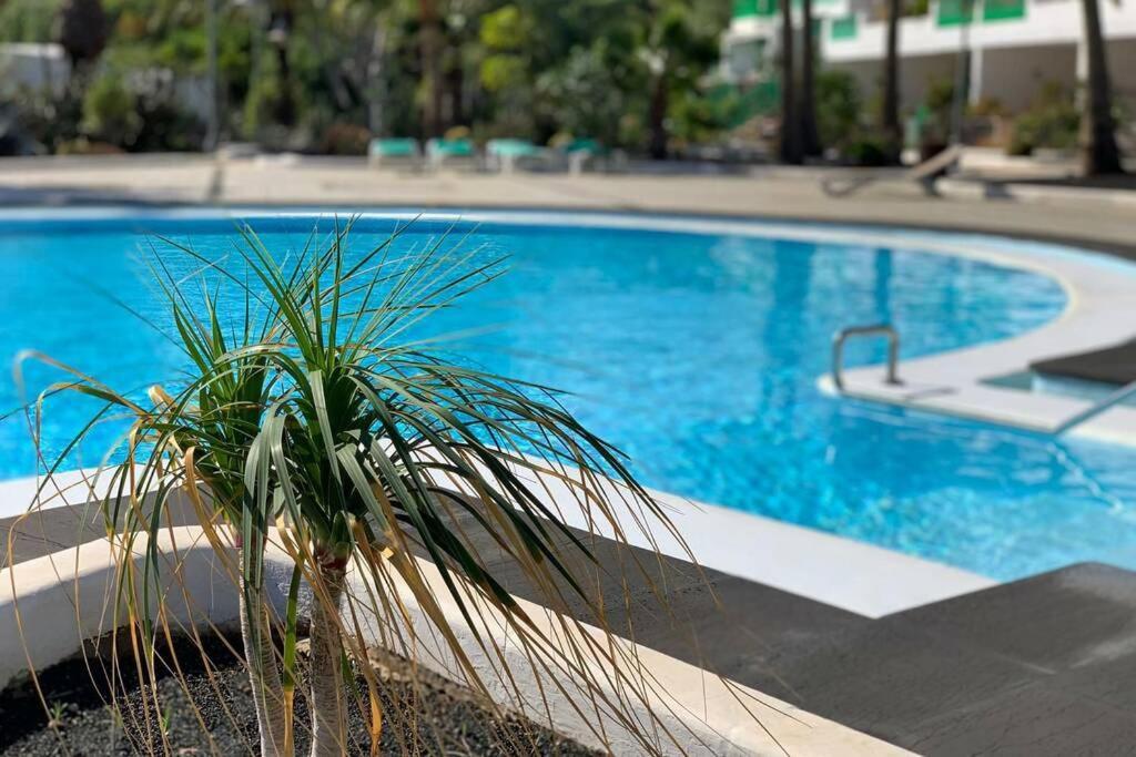 Apartamento Bastian Casas Verdes Costa Teguise Extérieur photo